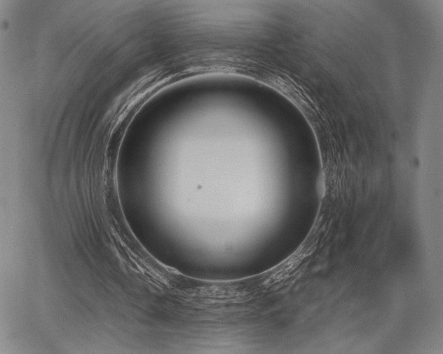 X0000067830338200604131206