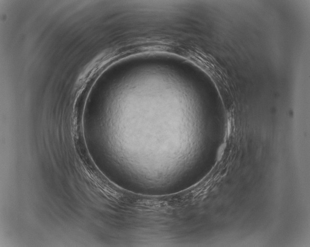 X0000067830339200604131206