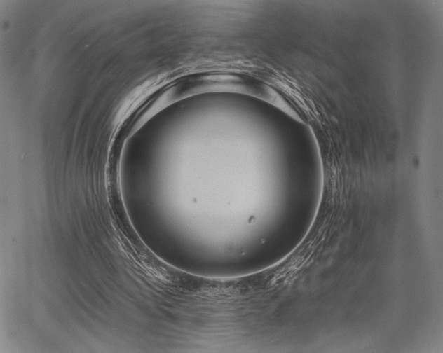 X0000067830340200604131206