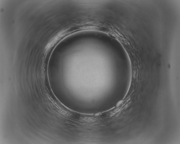 X0000067830341200604131206