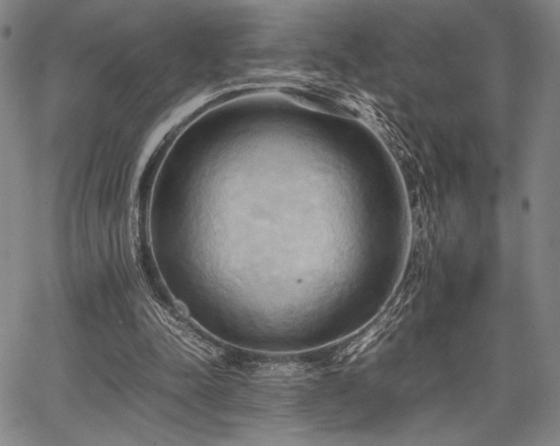 X0000067830342200604131206