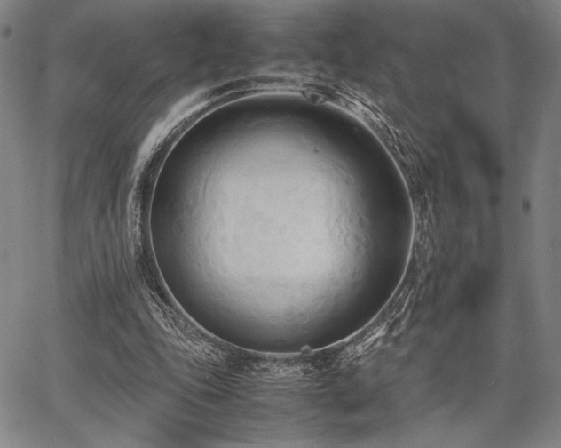 X0000067830343200604131206