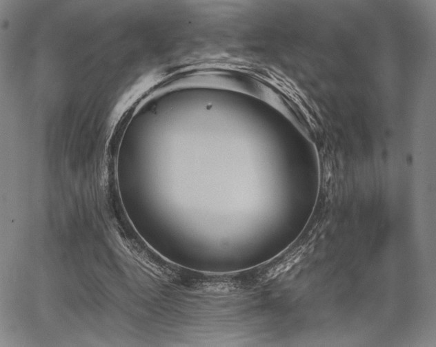 X0000067830344200604131206