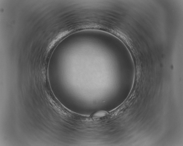 X0000067830345200604131206