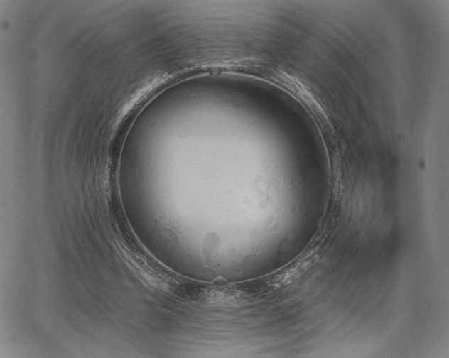 X0000067830346200604131206