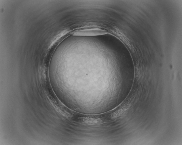 X0000067830347200604131206