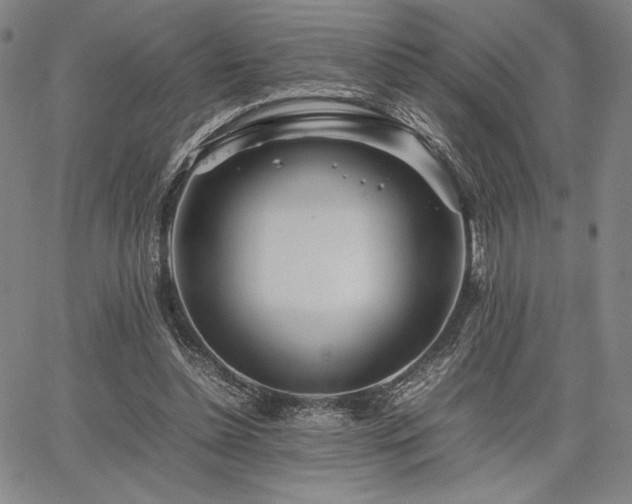 X0000067830348200604131206