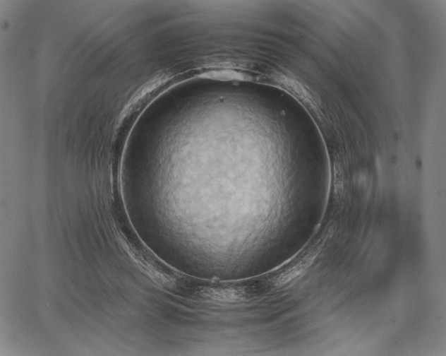 X0000067830349200604131206