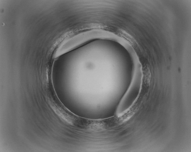 X0000067830350200604131206