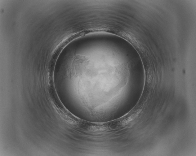 X0000067830351200604131206