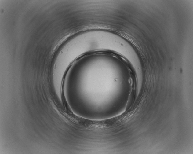 X0000067830352200604131206