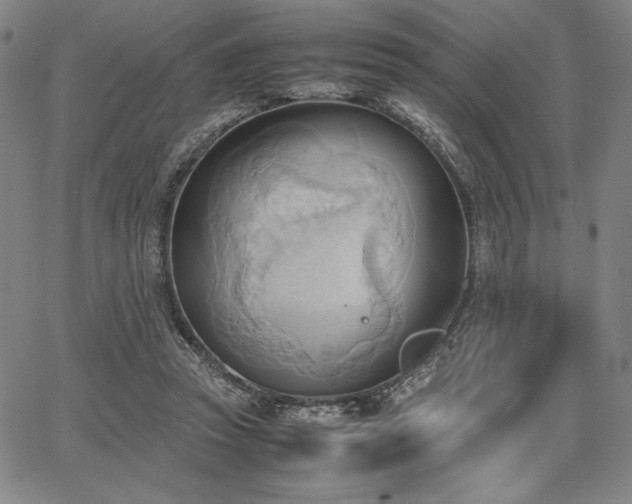 X0000067830353200604131206