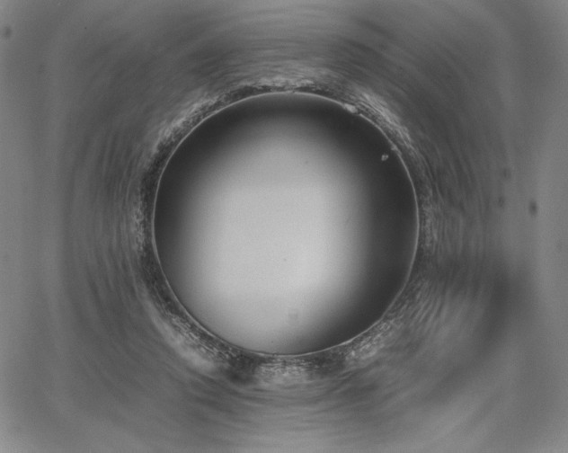 X0000067830354200604131206