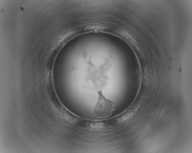 X0000067830355200604131206