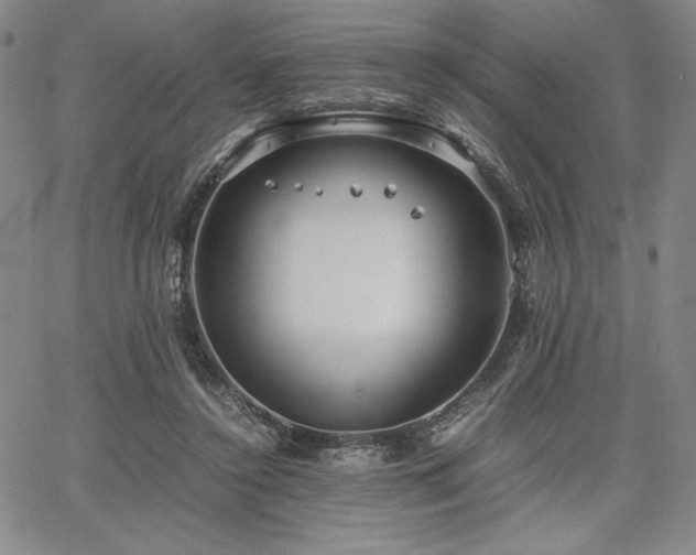 X0000067830356200604131206