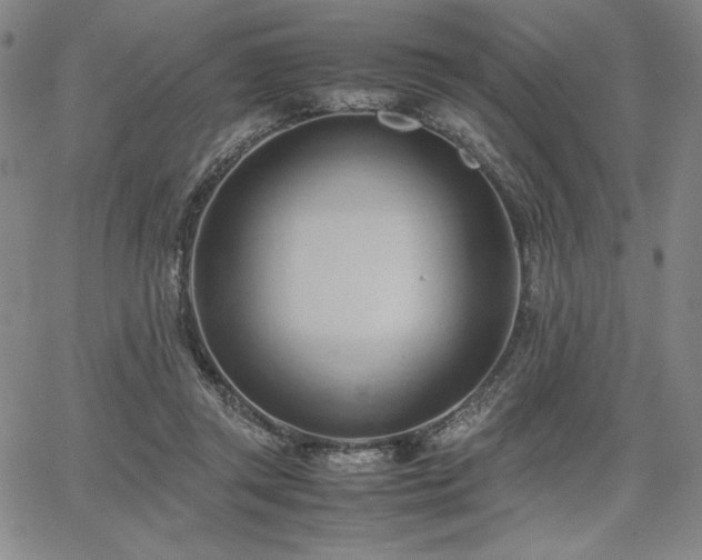 X0000067830357200604131206