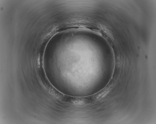 X0000067830358200604131207