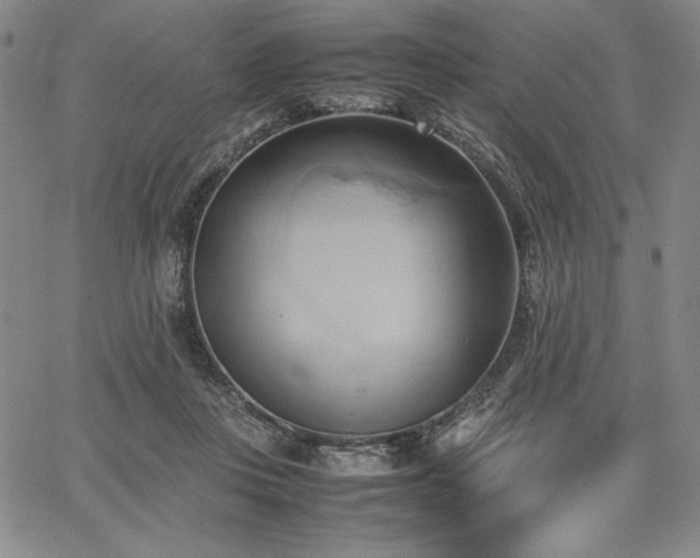 X0000067830359200604131207