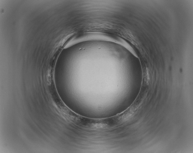 X0000067830360200604131207