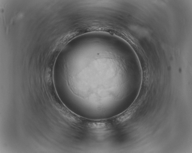 X0000067830361200604131207