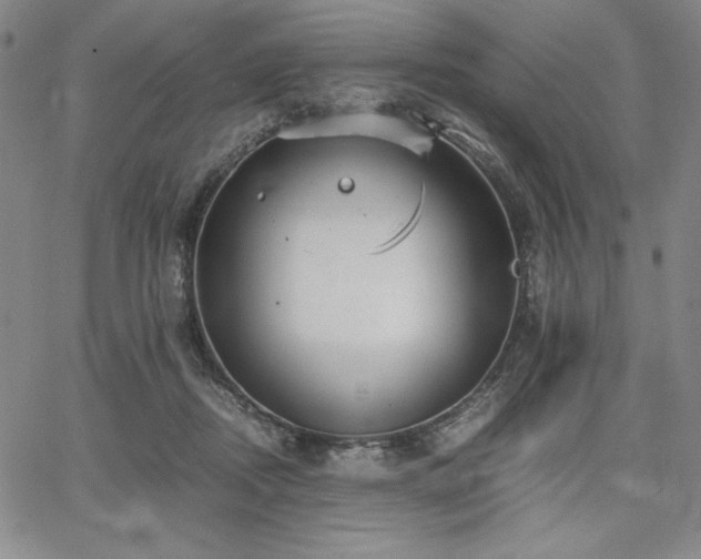 X0000067830362200604131207