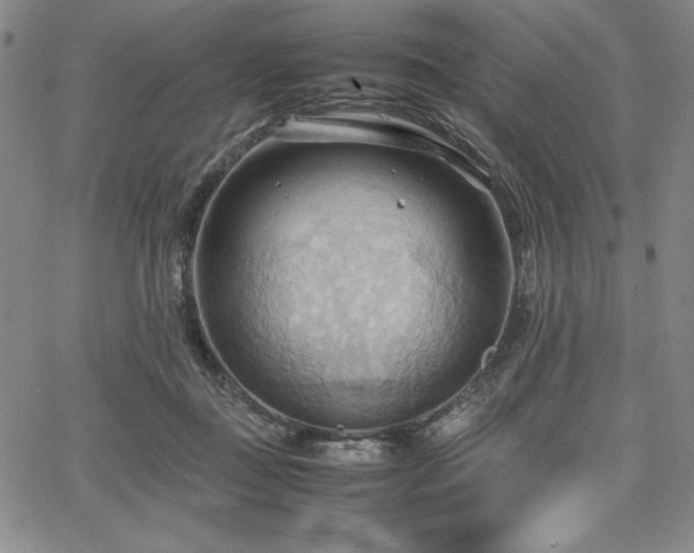 X0000067830363200604131207