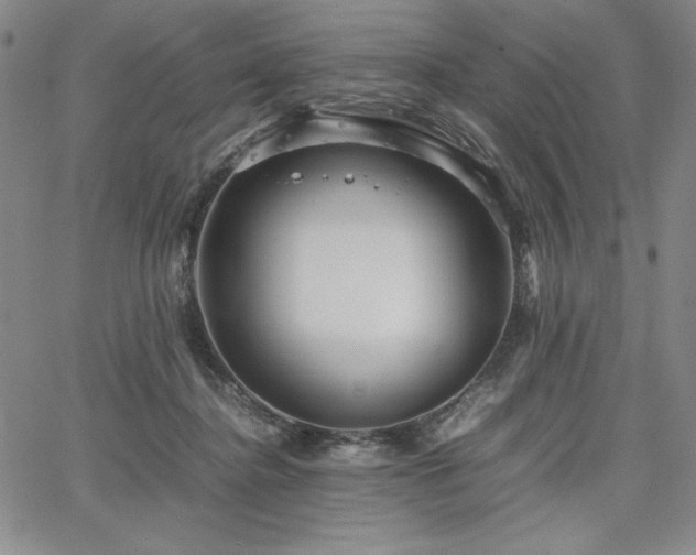 X0000067830364200604131207