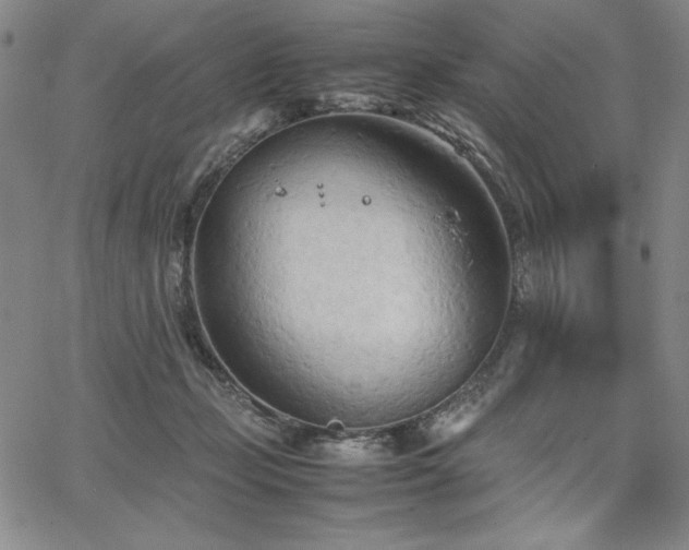 X0000067830365200604131207