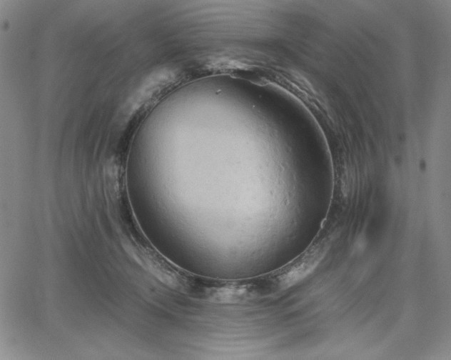 X0000067830366200604131207