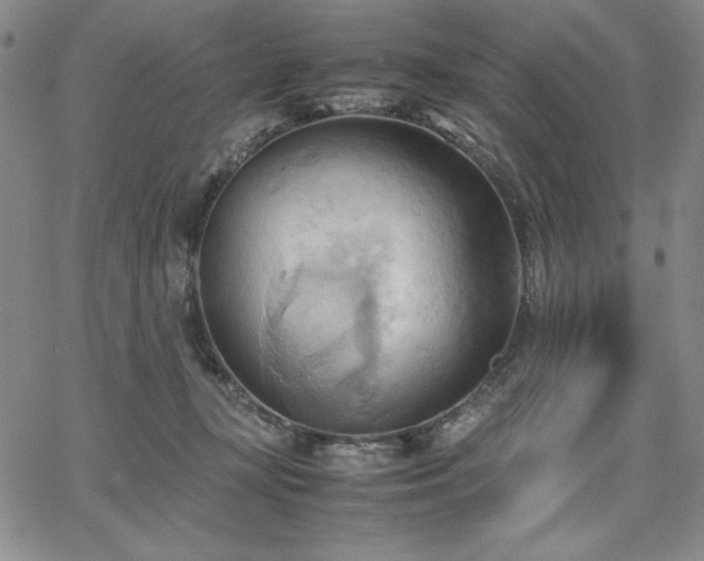 X0000067830367200604131207