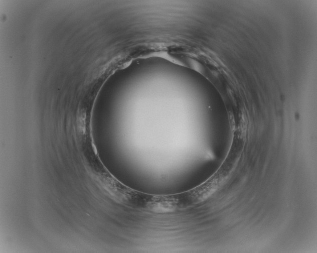 X0000067830368200604131207