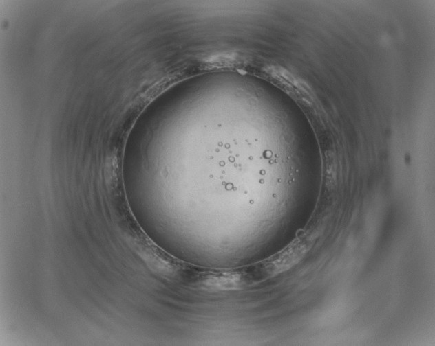 X0000067830369200604131207