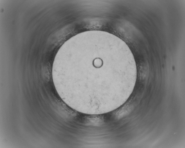 X0000067830370200604131207