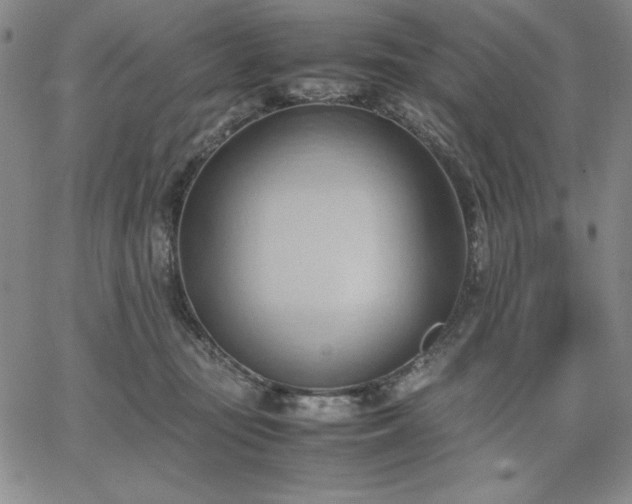 X0000067830371200604131207