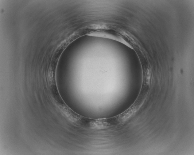 X0000067830372200604131207