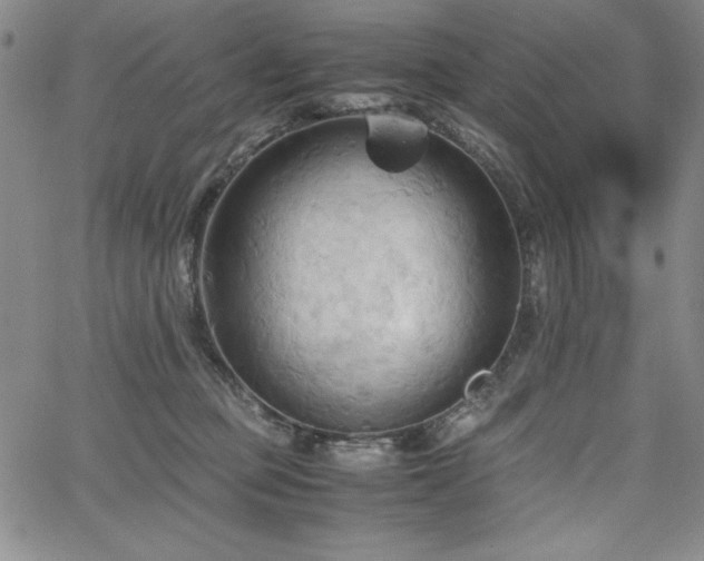 X0000067830373200604131207