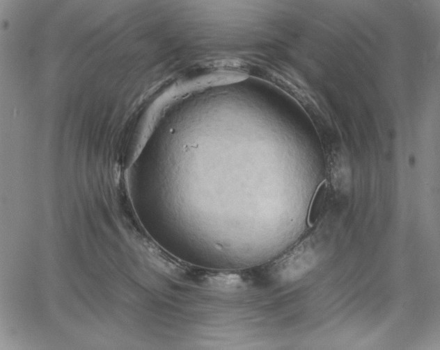 X0000067830374200604131207