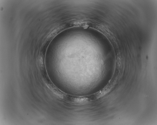 X0000067830375200604131207