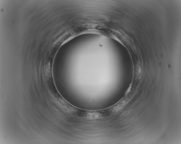 X0000067830376200604131207