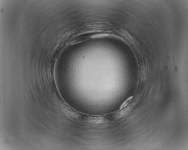 X0000067830377200604131207