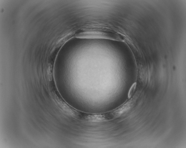 X0000067830378200604131207