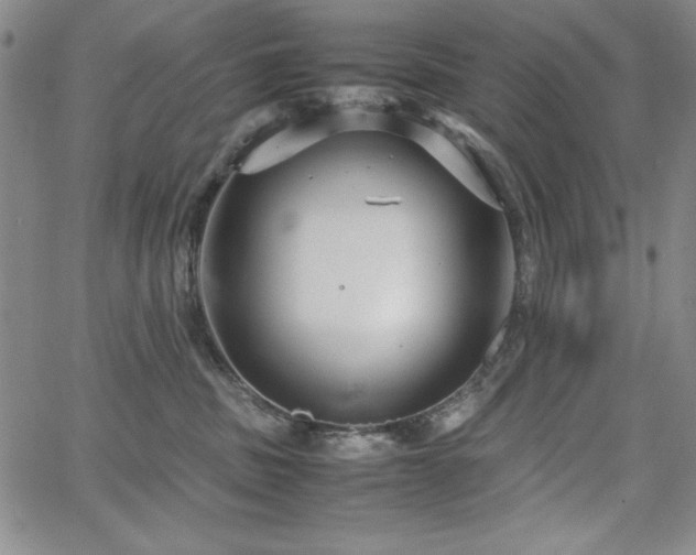 X0000067830379200604131207