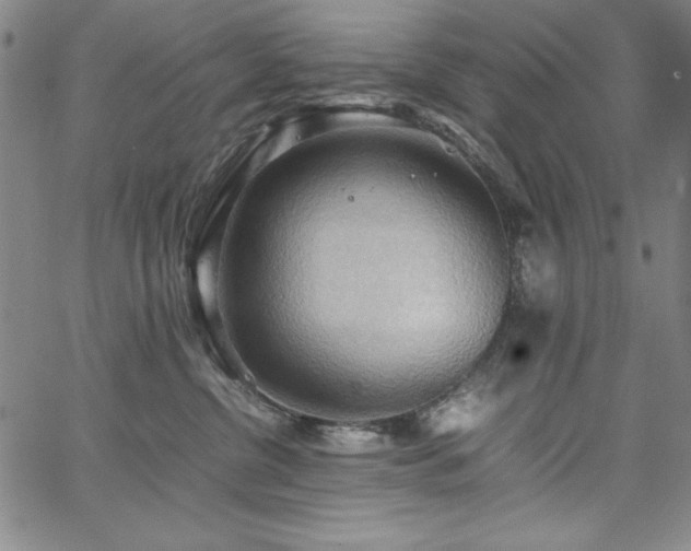 X0000067830380200604131207