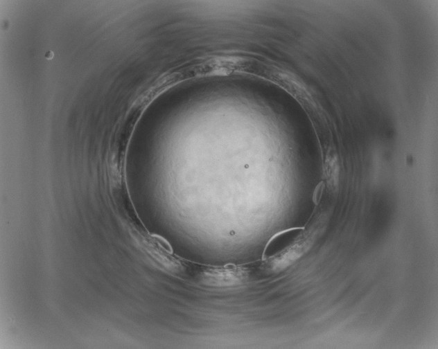 X0000067830381200604131207