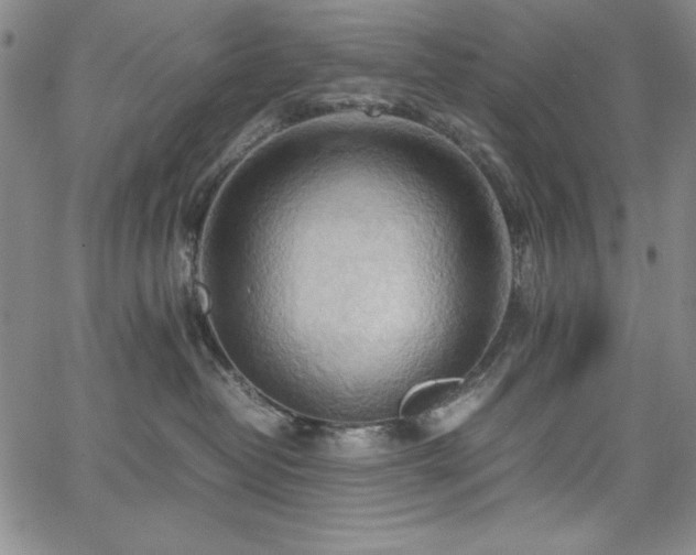 X0000067830382200604131207