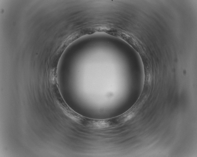 X0000067830383200604131207