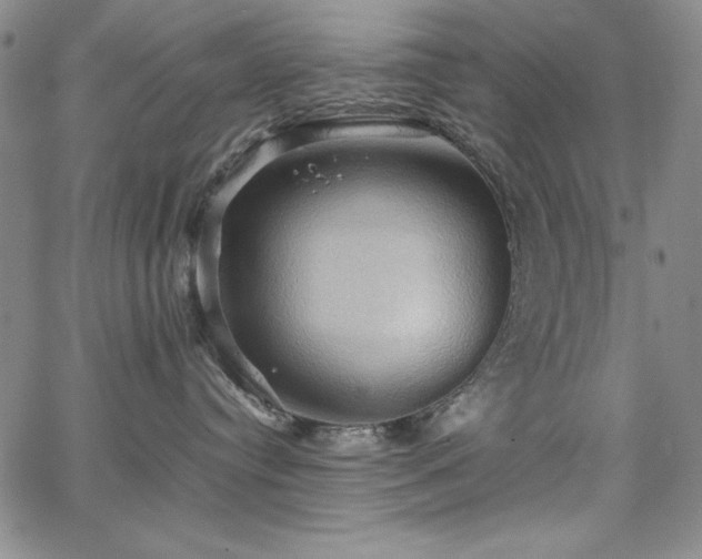 X0000067830384200604131207