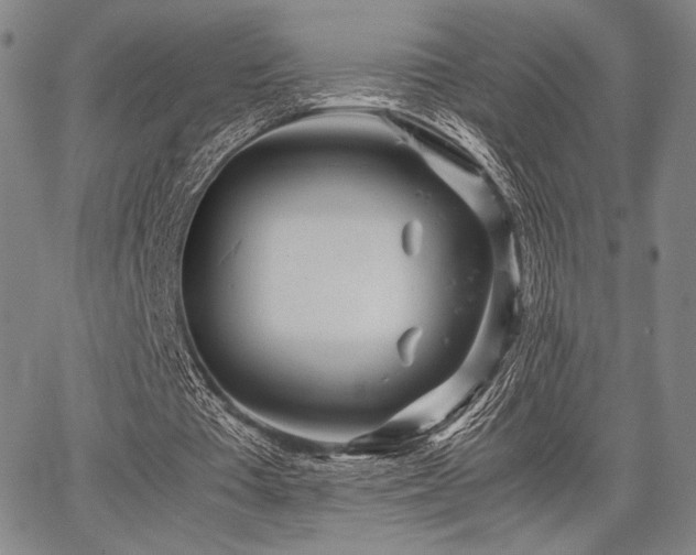 X0000067830385200604131206