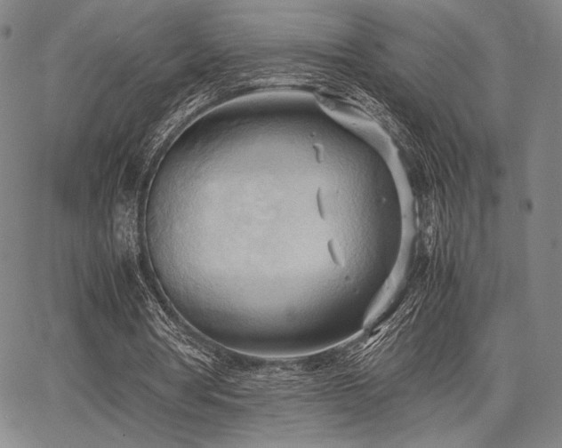 X0000067830386200604131206