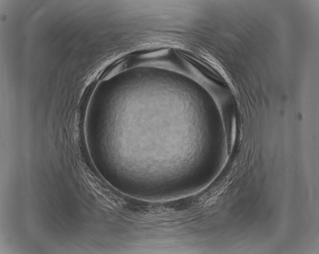 X0000067830387200604131206